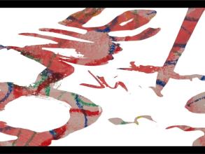 Screenshot from the video of Many Worlds in One Place, recorded in July 2021.