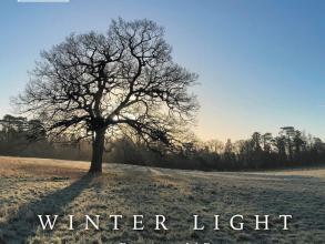 Winter Light album cover