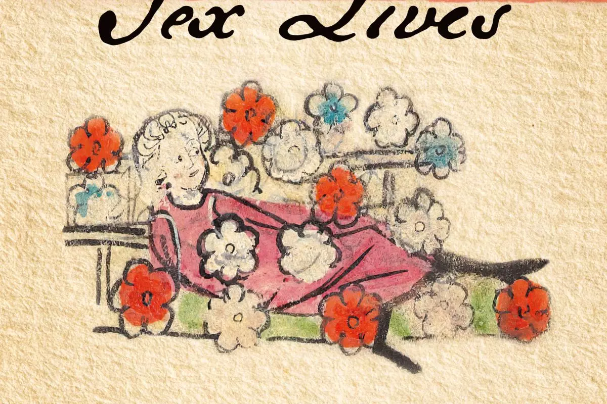 Medieval Sex Lives book cover